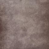 Coniston Velvet